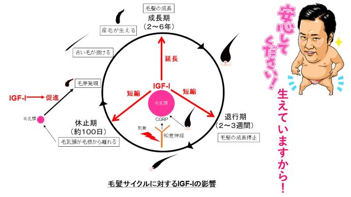 円形脱毛症　病院